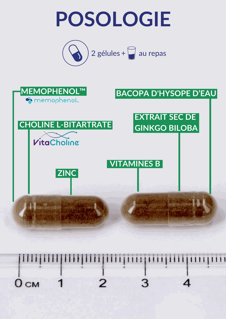 Posologie - Memoryvits.webp