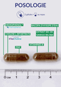 Posologie - Memoryvits.webp