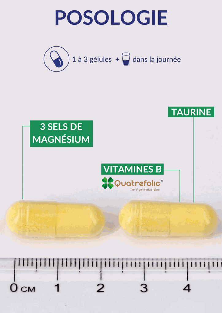 Posologie - Magnévits.webp