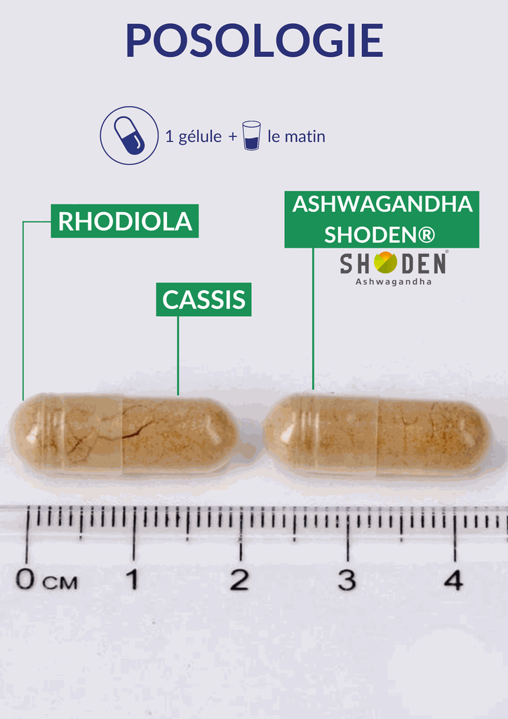 Posologie - Cortivits.webp
