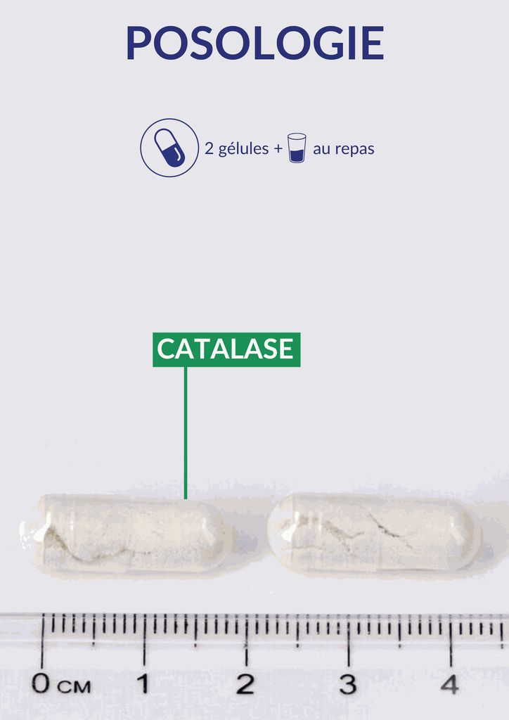 Posologie - Catalase.webp