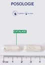 Posologie - Catalase.webp