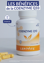 Bénéfices - coenzyme q10.webp